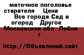 маточное поголовье старателя  › Цена ­ 3 700 - Все города Сад и огород » Другое   . Московская обл.,Лобня г.